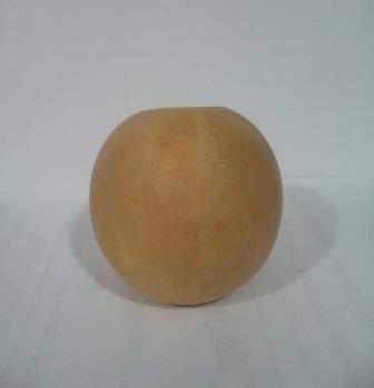 هندوانه ابوجهل(حنظل) 45گرم