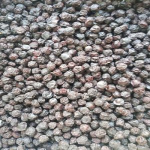 آلبالو خشک 250گرمی