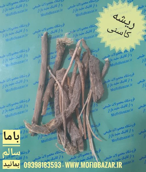 کاسنی ریشه بسته ای