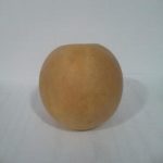هندوانه ابوجهل(حنظل) 45گرم