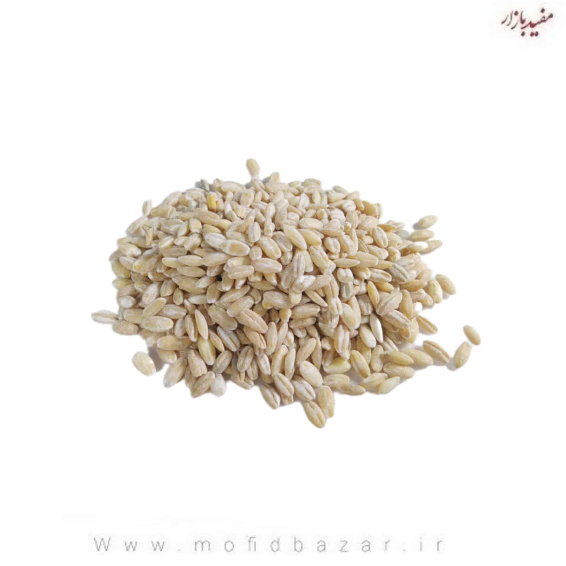 533.jpg جو یک کیلویی - تصویر 1