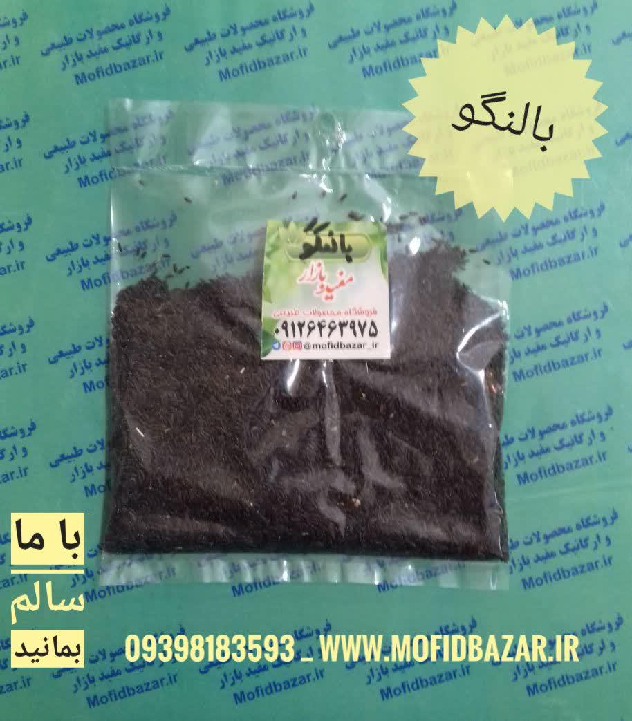 photo_2020-12-09_13-12-16.jpg بالنگو تخم 20گرم - تصویر 1