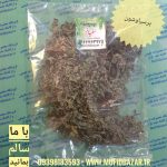 پرسیاوش 12گرم