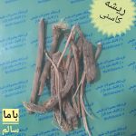 کاسنی ریشه بسته ای